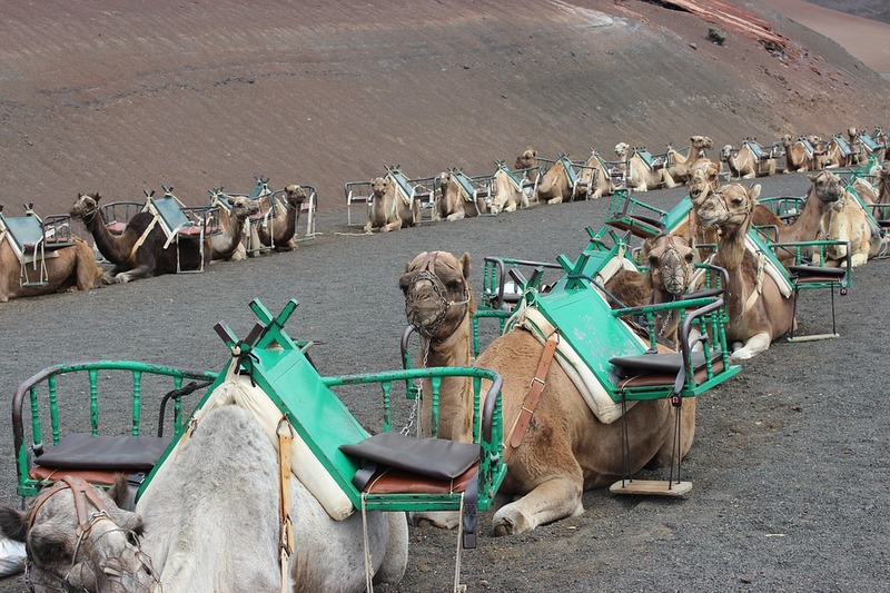 摩洛哥交通