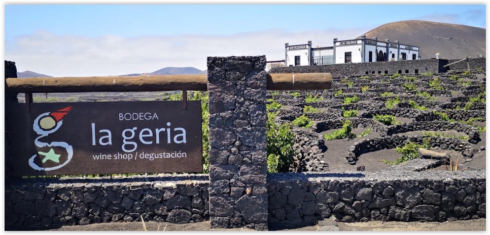 La Geria火山葡萄园